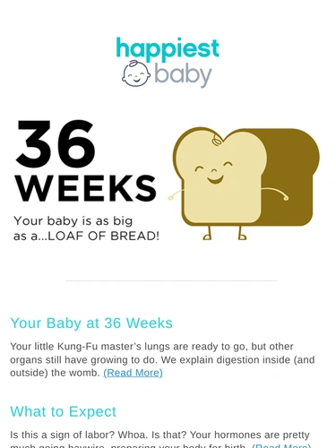 Happiest Baby Newsletter