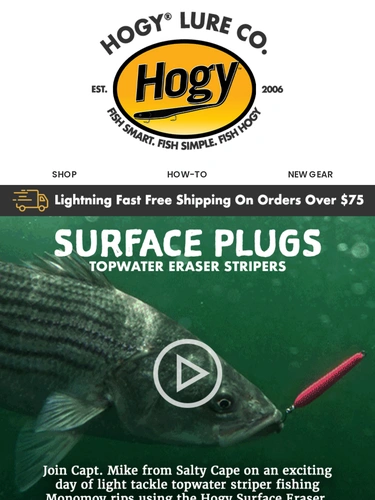 Hogylures Newsletter