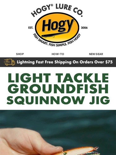 Hogylures Newsletter