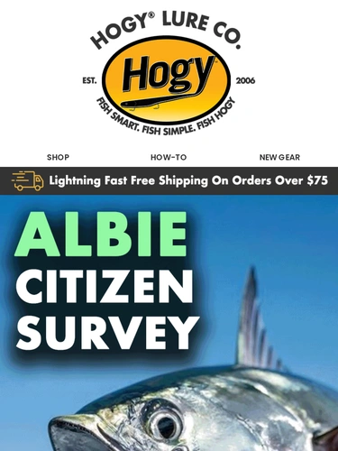 Hogylures Newsletter