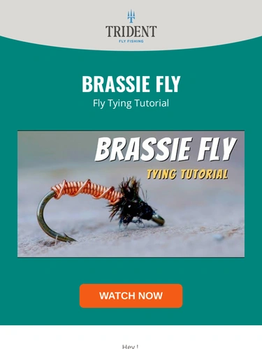 Trident Fly Fishing Newsletter