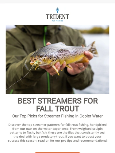 Trident Fly Fishing Newsletter