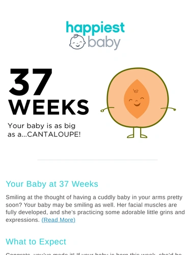 Happiest Baby Newsletter