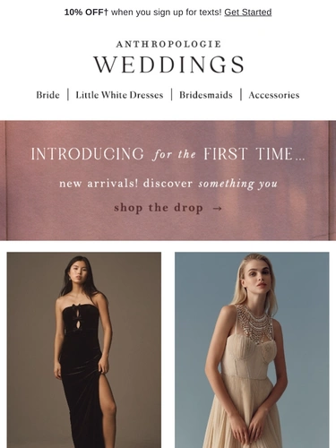 Anthropologie Newsletter