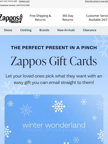 Zappos Newsletter