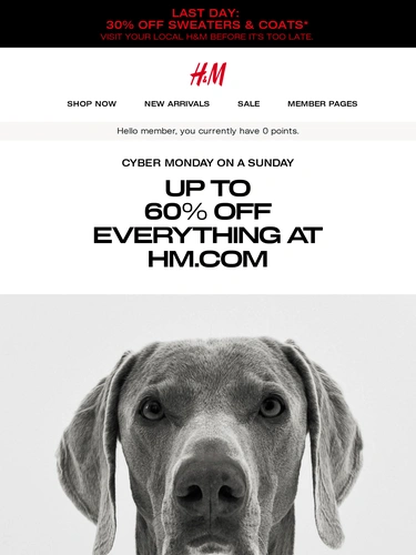 H&M Sale Announcement