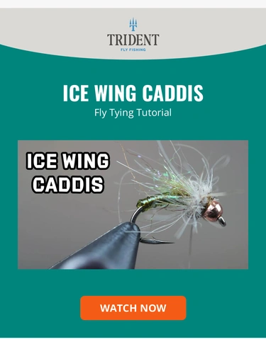 Trident Fly Fishing Newsletter