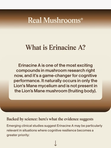 realmushrooms.com Newsletter
