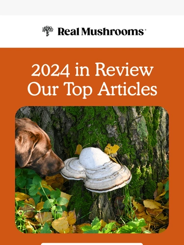 realmushrooms.com Newsletter