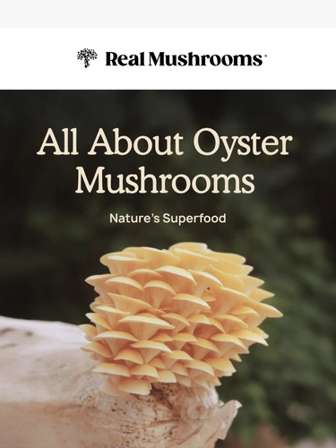 realmushrooms.com Newsletter