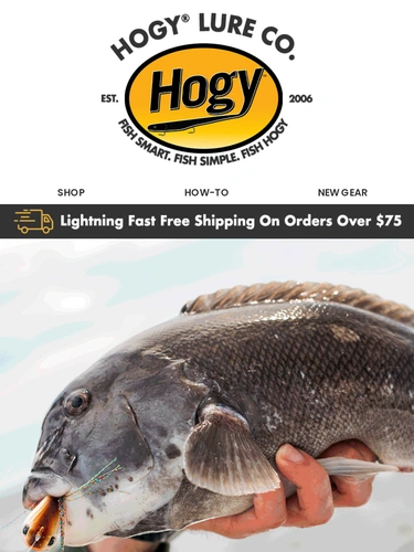 Hogylures Newsletter