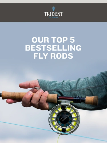 Trident Fly Fishing Newsletter