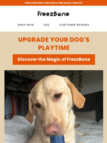 Freezbone Newsletter