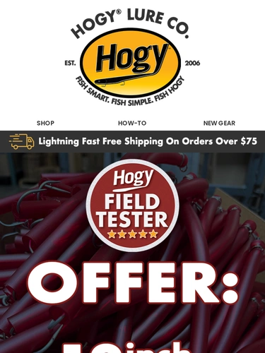 Hogylures Newsletter