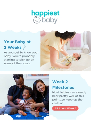 Happiest Baby Welcome Series