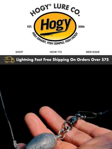 Hogylures Email