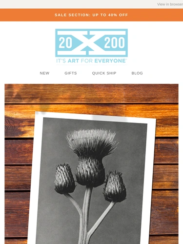 20x200 Newsletter