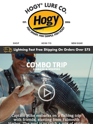 Hogylures Newsletter