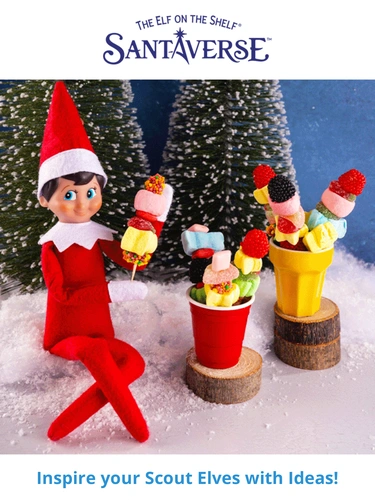 The Elf on the Shelf Newsletter