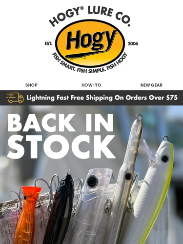 Hogylures Newsletter