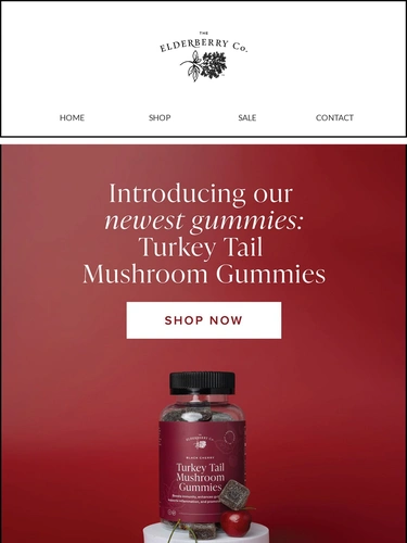 The Elderberry Company Newsletter