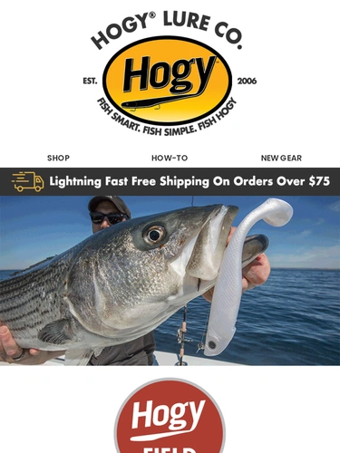 Hogylures Newsletter