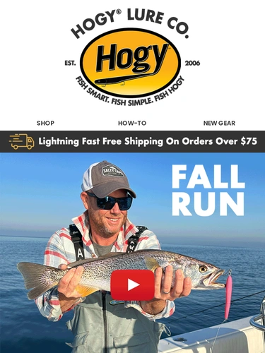 Hogylures Newsletter