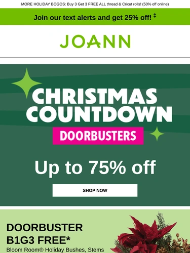 Joann Newsletter