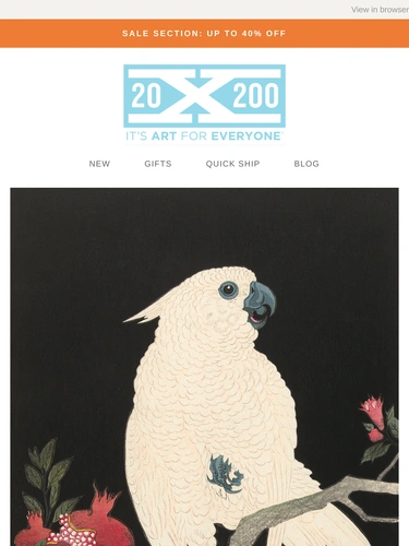 20x200 Newsletter