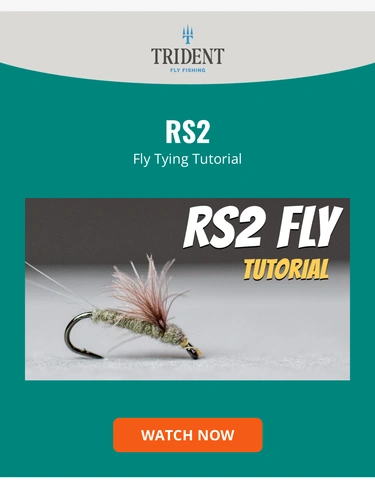 Trident Fly Fishing Newsletter