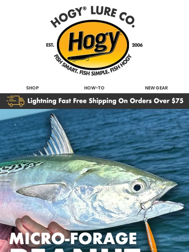 Hogylures Newsletter