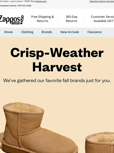 Zappos Newsletter