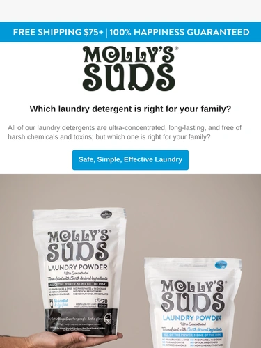 Molly's Suds Newsletter