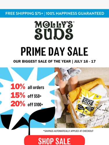 Molly's Suds Newsletter