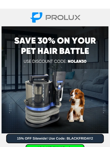 ProLux Cleaners Newsletter