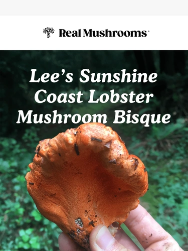 realmushrooms.com Newsletter