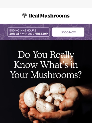 realmushrooms.com Newsletter