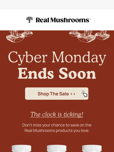 realmushrooms.com Newsletter