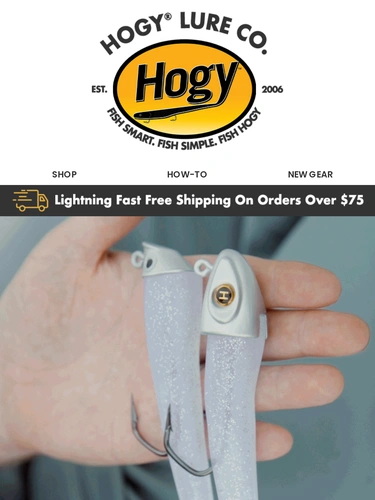 Hogylures Newsletter