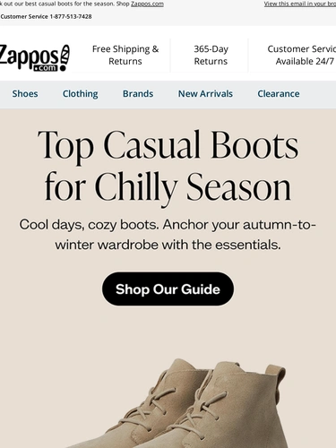 Zappos Newsletter