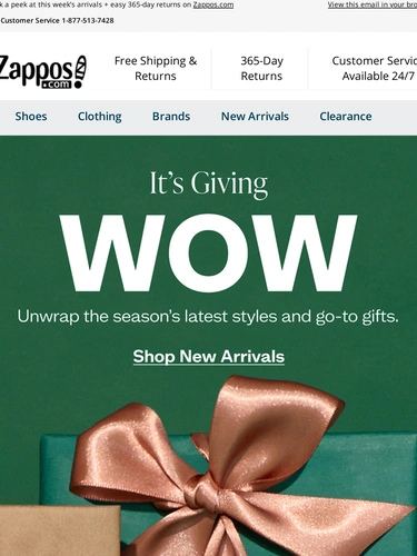 Zappos Newsletter