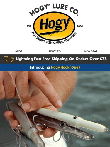 Hogylures Newsletter