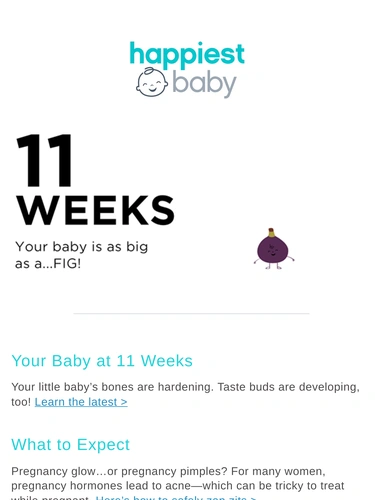 Happiest Baby Newsletter