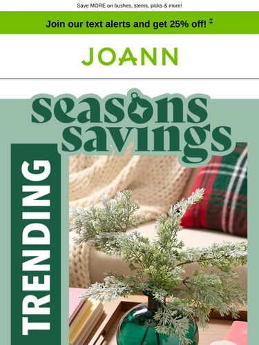 Joann Newsletter