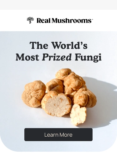 realmushrooms.com Newsletter